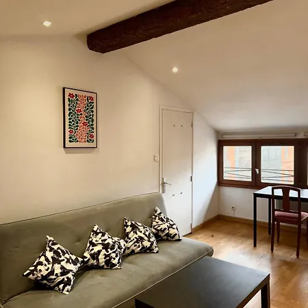 Ecrin Des Carmes T1 Hypercentre Appartement *