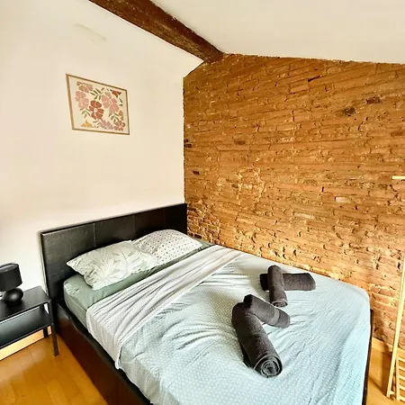 Ecrin Des Carmes T1 Hypercentre 公寓