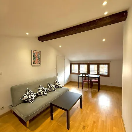 Ecrin Des Carmes T1 Hypercentre Toulouse