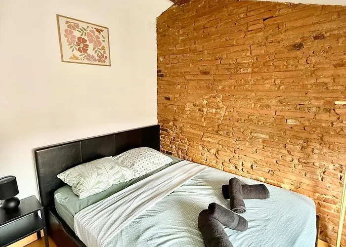 Ecrin Des Carmes T1 Hypercentre Appartement