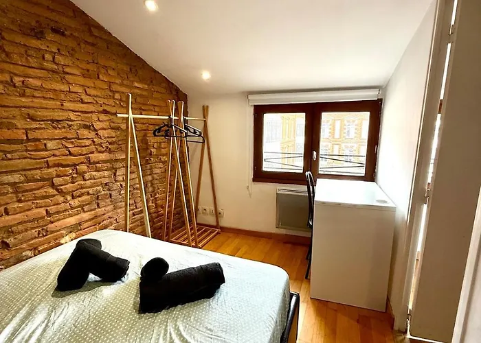 Appartement Ecrin Des Carmes T1 Hypercentre