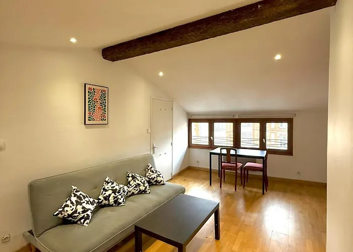 Ecrin Des Carmes T1 Hypercentre Toulouse