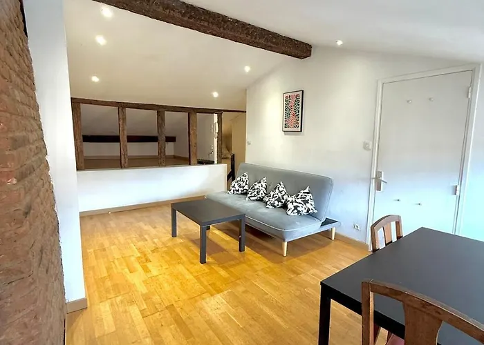 Ecrin Des Carmes T1 Hypercentre Appartement