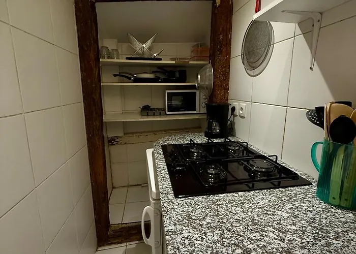 Ecrin Des Carmes T1 Hypercentre Apartment