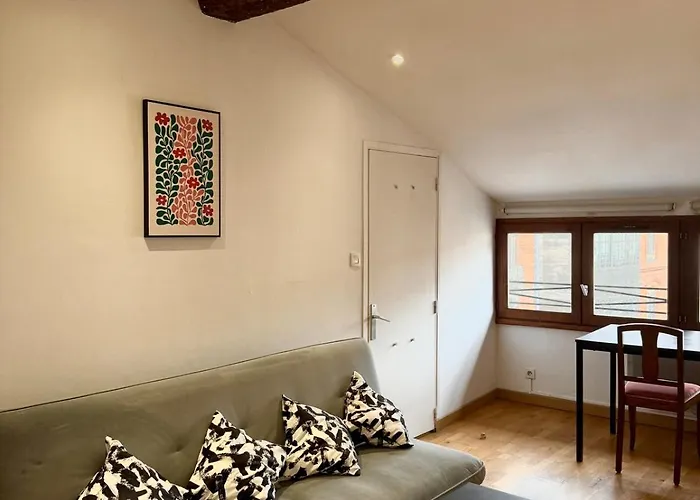 Ecrin Des Carmes T1 Hypercentre Apartment *