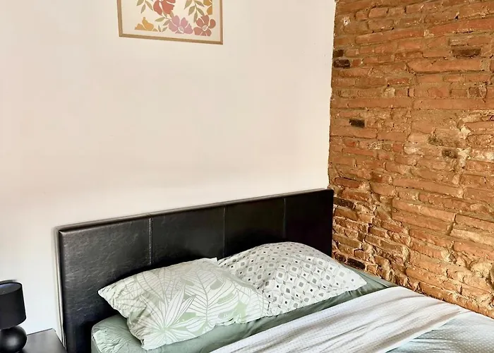 Ecrin Des Carmes T1 Hypercentre Apartment Toulouse